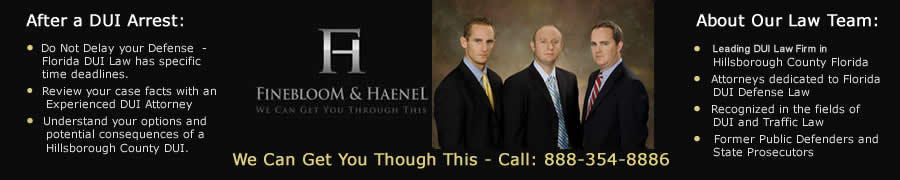 Hillsborough County DUI Team